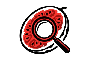 月光影视在线观看免费完整 - 吃瓜社Logo